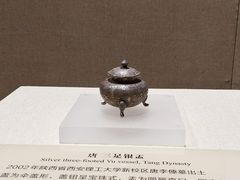 -麒麟中餐厅·经典粤菜·地道菜式老字号(广州长隆酒店)