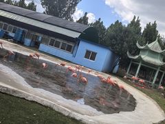 -秦皇岛野生动物园