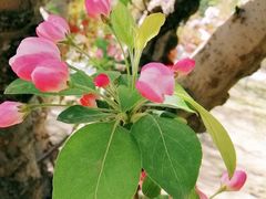 -元大都城垣遗址公园