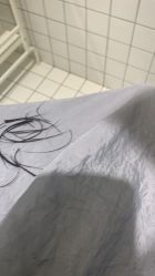 -大象造型