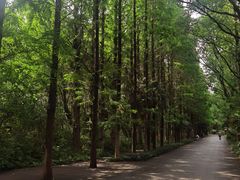 -同里国家湿地公园