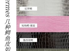 -海星奢选二手奢侈品手表包包鉴定回收寄卖(墨玉南路店)