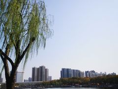 -武汉动物园