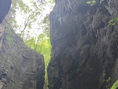 -牛背梁国家森林公园