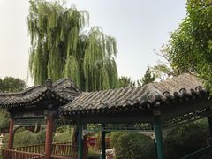 -戚继光故里
