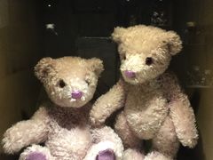 -济州岛泰迪熊博物馆