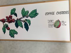 -瑞幸咖啡(南海万科广场店)