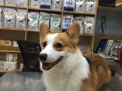 -瑞派名望24h动物医院异宠专科·猫专科·骨科·重症监护分院