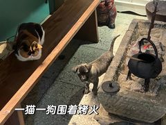 -谷咖啡·鲜花绿植花园餐厅