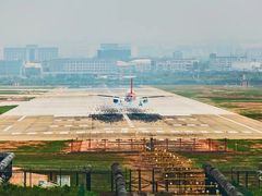-空港花田景区