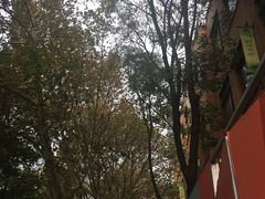 -广东涂记烧鹅饭(武汉天地店)