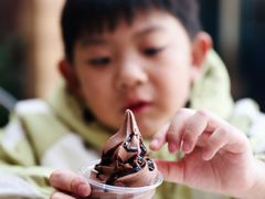 -IL paperino帕帕里诺冰激凌