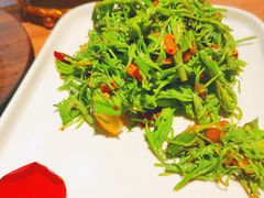 清爽云南沙松针-雀舞云南菜(乐客城店)