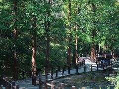 -国家植物园南园