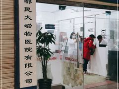 -成都民大动物医院