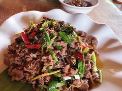 小炒牛肉-傣家苑傣味餐厅