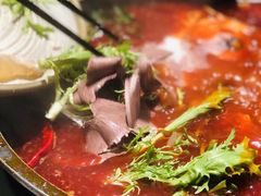 -园里火锅(仁和新城店)