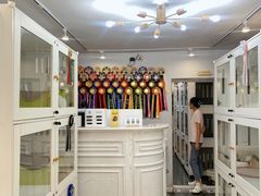 -青奢宠物·青奢猫舍