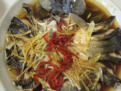 -煲来饱去冷水鱼