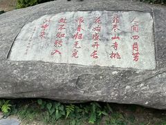 -庐山风景区花径公园