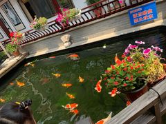 -华庭苑农家乐(旺山店)