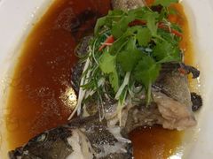 清蒸海青斑-阿锋鲍鱼酒家美食汇(华安店)