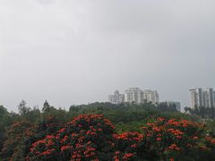 -狐尾山公园