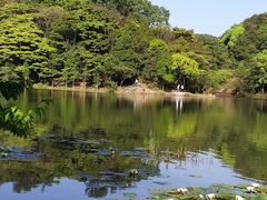 -广州市石门国家森林公园