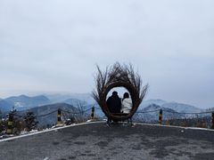 -武陵山森林公园
