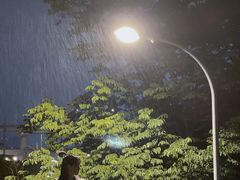 -南翔镇银翔湖公园