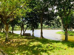 -北京师范大学(珠海校区)