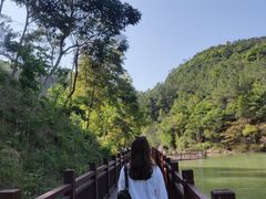 -广州白江湖森林公园