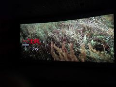 -山文星辉影城(青岛和谐广场店)