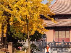 -苏州文庙(姑苏区)