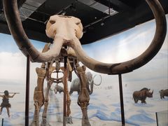 -辽宁古生物博物馆