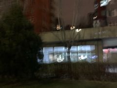 -大望路(地铁站)