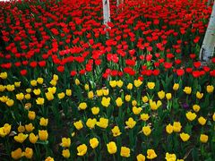 -长春公园(普阳街道)