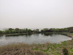 -上海市保健医疗中心