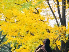 -汇龙潭