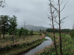 -余姚四明湖开元名都度假酒店·夏威夷西餐厅