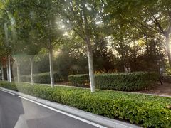 -青岛汽车北站