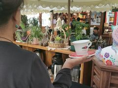 -京北渔家傲