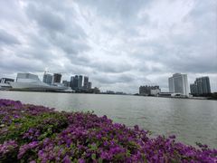 -广州白天鹅宾馆