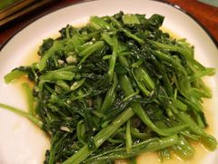 飞天空心菜-苏梅花园(群星城店)