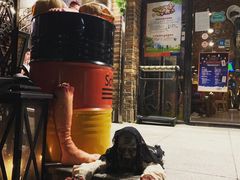 -申德勒加油站西餐厅(日坛路总店)