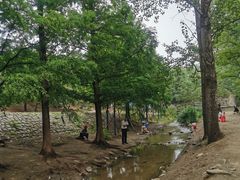 -白水寺森林公园