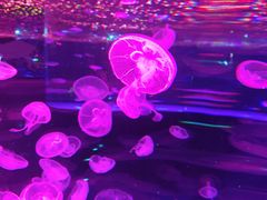 -波塞冬旅游度假区