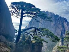 -黄山风景区