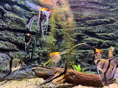 -上海海洋水族馆