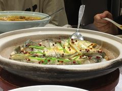 -新光酒家·河豚·海鲜·蟹料理(浦东店)